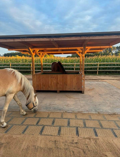 Heuraufe HUGE 2x2m mit Dach 5x5m + Dachpappe und Unterspannbahn - MeineHeuraufe